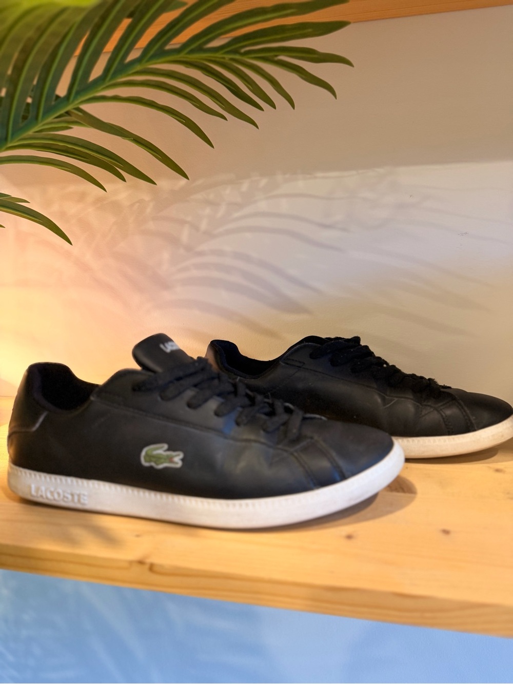 Lacoste Men’s Black Leather Sneakers with White Sole